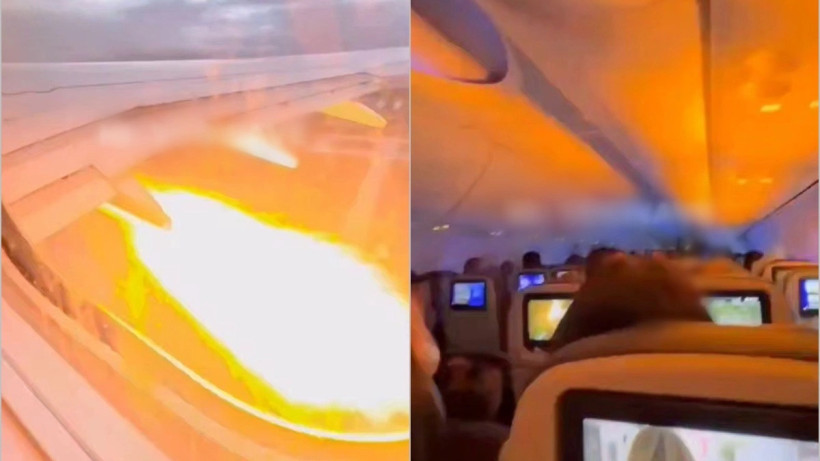  видеодан кадр 