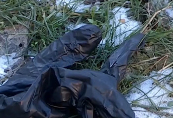 Шымкентте шешесін өлтірген жігіт жазадан құтылып кетті