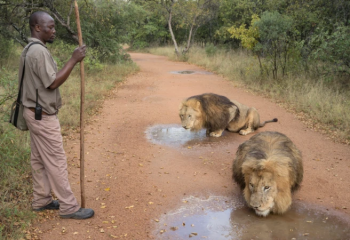 В Лондоне назвали победителей Sony World Photography Awards 2025