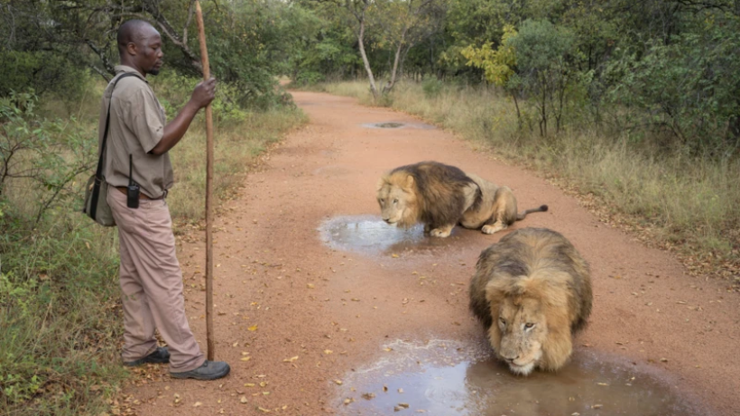  Zed Nelson/Sony World Photography Awards 2025 