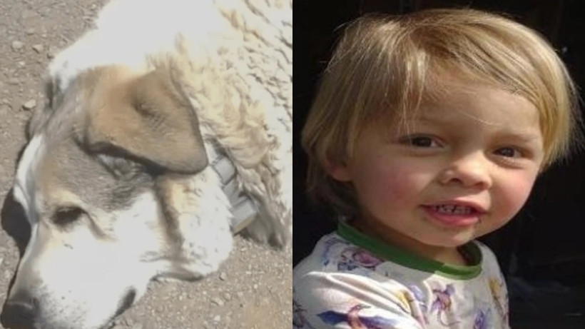  Facebook парақшасынан 