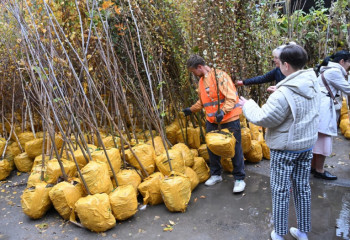 Алматинцам бесплатно раздадут саженцы деревьев: опубликованы адреса пунктов выдачи