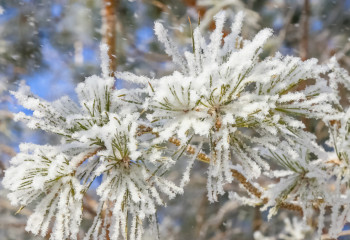 Весна с характером: в Казахстан вернулись снег и холода, но тепло уже не за горами