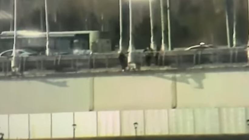  Кадр из видео 