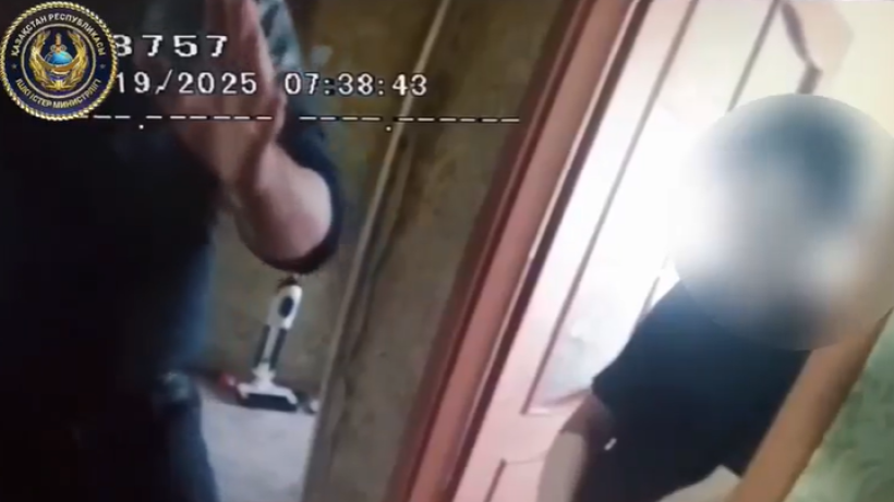  Видеодан кадр 