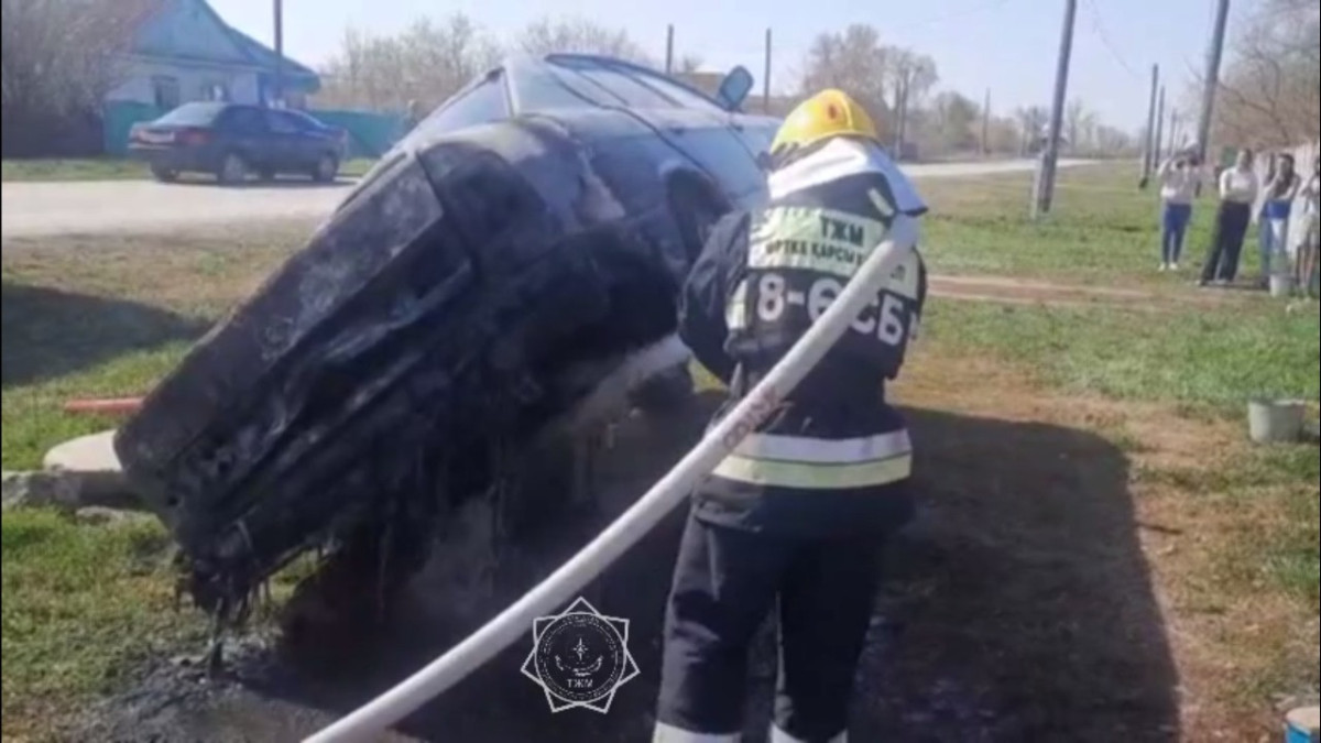  Кадр из видео 