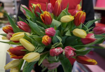 В Алматы пройдет фестиваль «Гүл Алматы. Flower City»