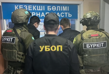 В области Абай раскрыто крупное хищение саженцев сосны на полмиллиарда тенге