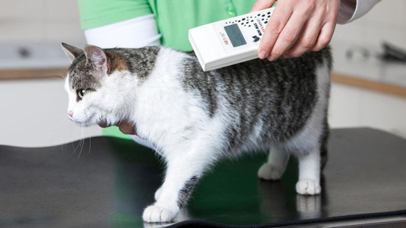  Астана әкімдігінің баспасөз қызметі 