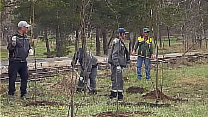  Бейнежазбадан скриншот 