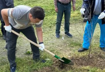 «Таза Қазақстан»: Шымкенттегі ауданда 3 мыңға жуық ағаш отырғызылды