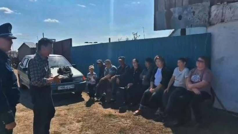  Видеодан кадр 