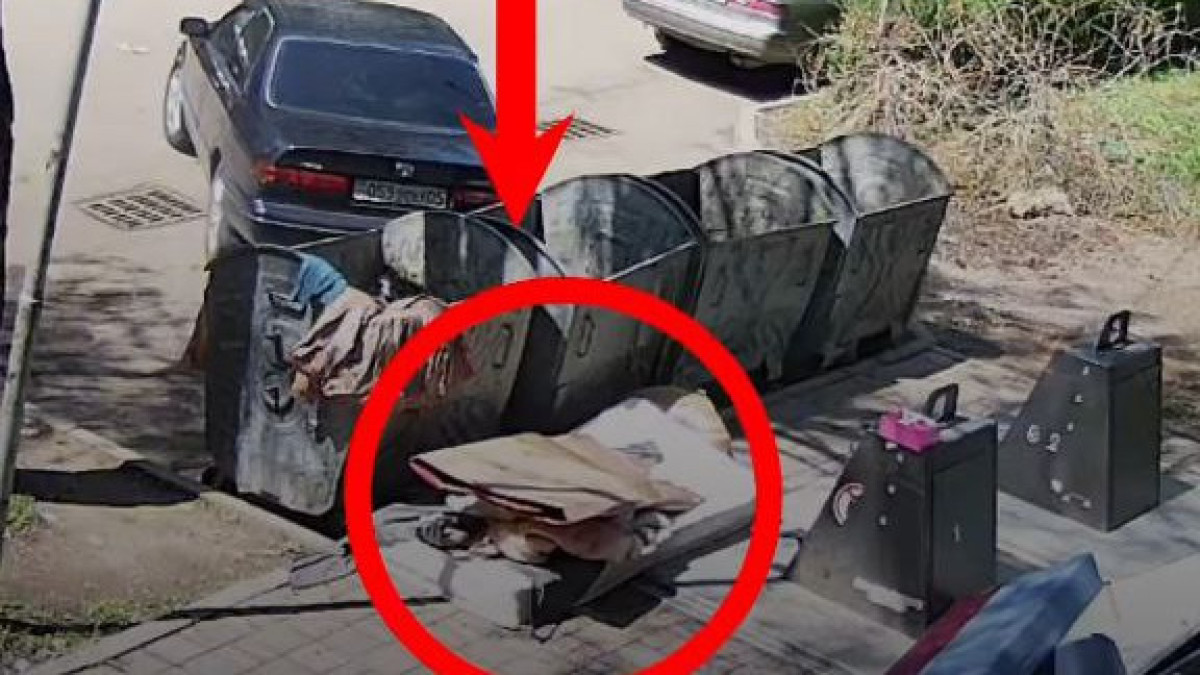  Видеодан кадр 