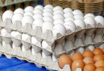 Ер адам 140 жұмыртқа ұрлаймын деп 7,7 жылға бас бостандығынан айырылды