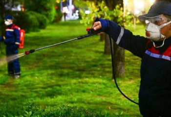 Алматыда өсімдіктерді биологиялық қорғаудың жаңа әдісі қолданылуда