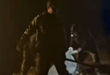 СҚО-дағы Тепличное ауылында бөгетті нығайту жұмыстары тәулік бойы жалғасуда