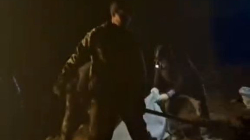  Видеодан кадр 