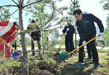 Мажилисмены высадили 100 деревьев в Астане