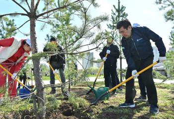 Депутаттар елордада 100 түп ағаш екті