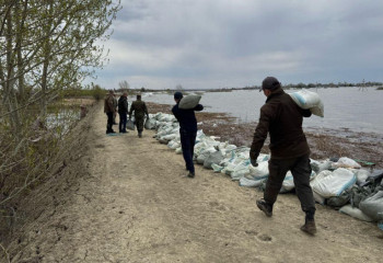 ТЖМ күштері СҚО-ғы бөгеттерді нығайтуда