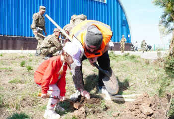 2,3 млн саженцев высажено в Акмолинской области с начала года