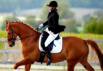 Нурила Тұрысбекова әлем кубогының күміс жүлдегері атанды