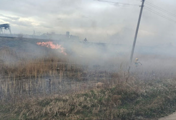 Ақмолада 40 гектар жердегі құрғап шөп өртенді