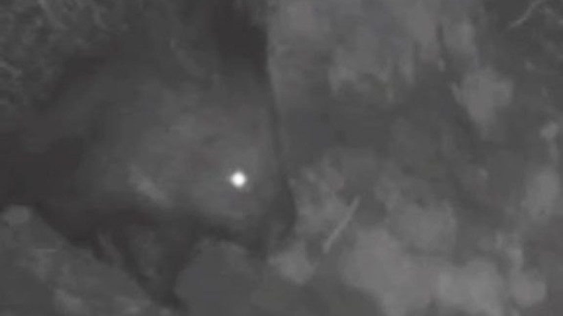  Видеодан кадр 