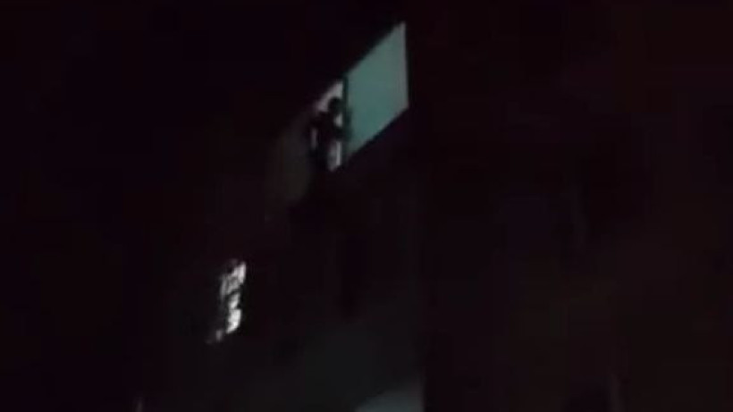  Видеодан кадр 