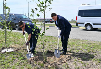 Берік Уәли Семейді жасыл қалаға айналдыру қажеттігін айтты