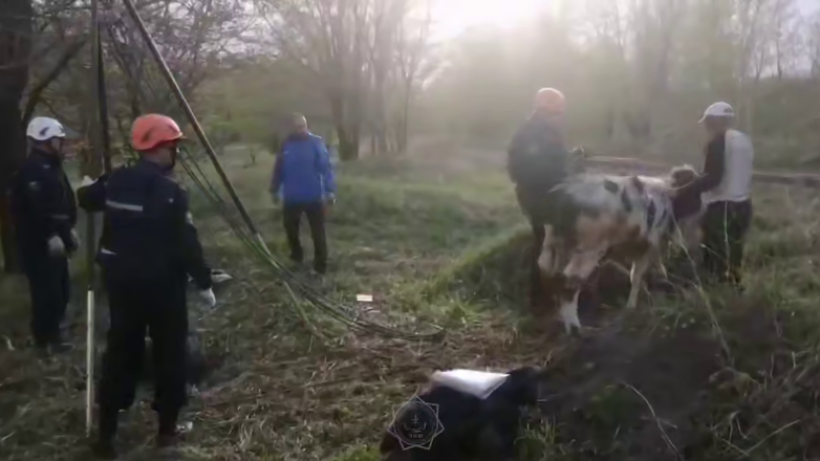  Скриншот видео 