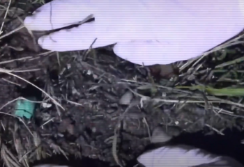 В Казахстане изъято 13,5 кг синтетических наркотиков на сумму 405 млн тенге