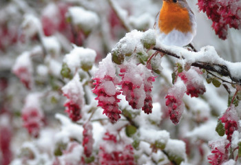 Қазақстанда күн күрт суытады