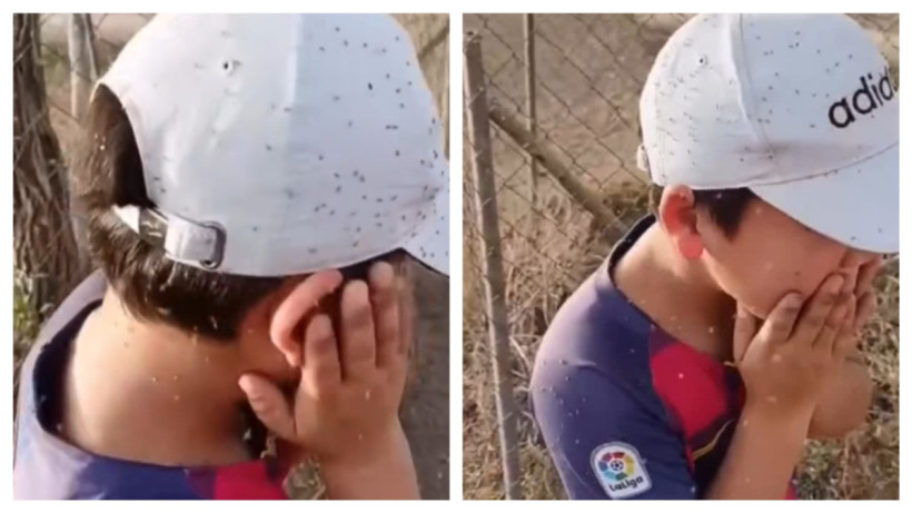  видеодан алынған кадр 