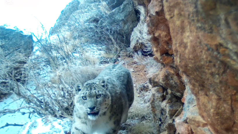  Кадр из видео 