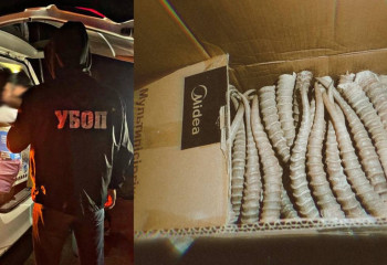 На трассе Уральск – Атырау задержали перевозчика рогов сайги