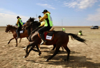 Алматы облысында «Ұлы дала жорығы» халықаралық марафон-бәйгесі өтеді