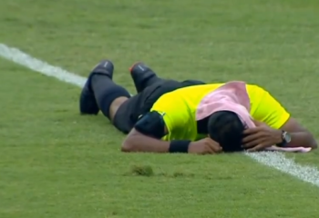 Рой пчёл атаковал судью и зрителей на матче Суперкубка Индии