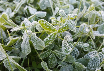 Өрт қаупі, найзағай, үсік: 30 сәуірге арналған ауа райы болжамы