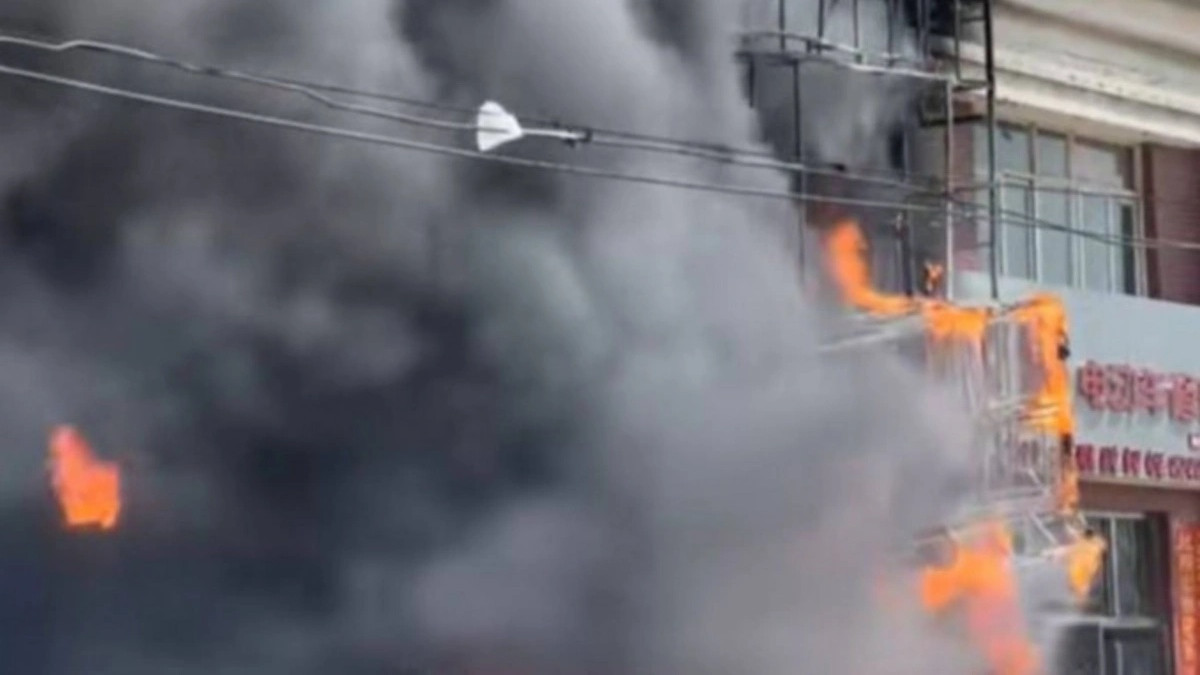  видеодан кадр 