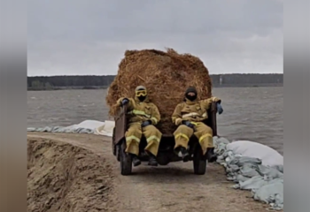 Аким СКО проверил противопаводковые работы в затопленном селе Прибрежное