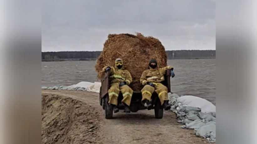  Скриншот видео 