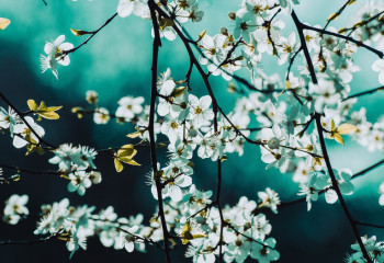 Мамыр айының алғашқы күндері ауа райы қандай болады