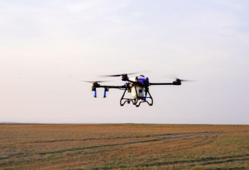 Жамбыл және Түркістан облыстарында шегірткеге қарсы аумақ өңделді