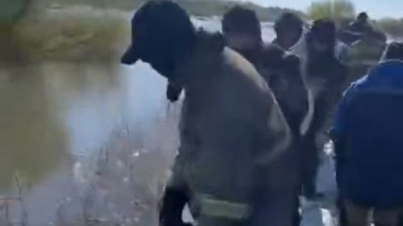  Видеодан кадр 