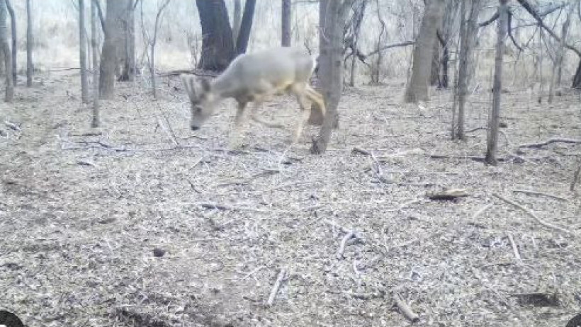  Видеодан кадр 