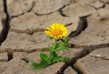 Демалыс күндері ауа райы қандай болады