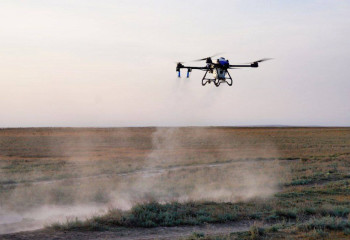 В Казахстане агродроны обработали свыше 3 млн га против саранчи: задействовано более 50 беспилотников