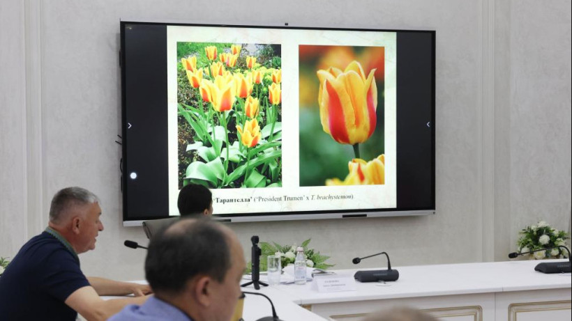  акимат Жамбылской области 