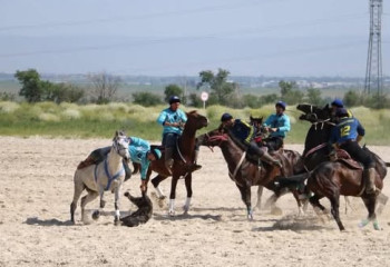 Түркістан облысында көкпардан республикалық жарыс өтіп жатыр